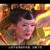 摇头摆尾的生肖正确答案